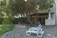Delfino – Marina di Campo Delfino – Marina di Campo